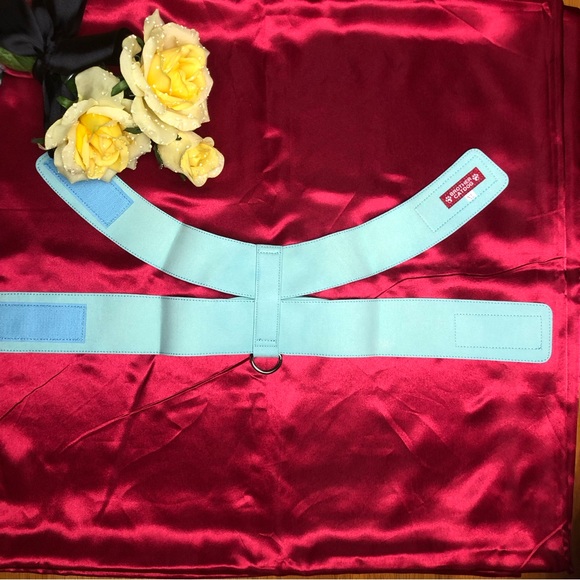 Brother Catdog Adjustable Rhinestone Harness - Picture 4 of 6